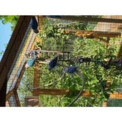 Grand Parc Grillagé Pour Poulailler Vorwerk -Poulailler Boutique extension poulailler gournay ame2