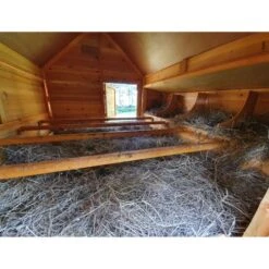 Poulailler Cémani XXL Toit Shingle Noir 15 à 18 Poules -Poulailler Boutique grand poulailler bassette xxl 15 18 poules vue face interieur 1 1