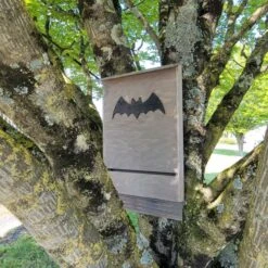 Nichoir Chauve-souris Bois FSC Grande Taille