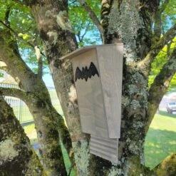 Nichoir Chauve-souris Bois FSC Petite Taille -Poulailler Boutique maison chauve souris petite vue c t