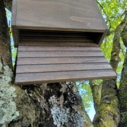 Nichoir Chauve-souris Bois FSC Petite Taille -Poulailler Boutique maison chauve souris petite vue dessous