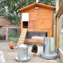 Poulailler Vorwerk Toit Shingle 10 à 12 Poules -Poulailler Boutique portier automatique poulailler zen farm vert ambiance 4