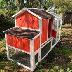 Poulailler Ardennais 6 à 8 Poules Toit Shingle -Poulailler Boutique poulailler ardennais rouge 8 poules vue dos ouvert soleil