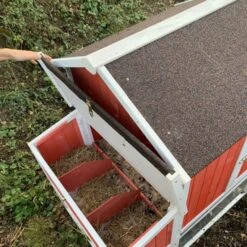 Poulailler Ardennais 6 à 8 Poules Toit Shingle -Poulailler Boutique poulailler ardennais rouge pondoir ouvert