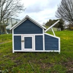 Poulailler Bantam XL Bleu Toit Shingle 2 à 4 Poules -Poulailler Boutique poulailler bantam xl bleu vue arri re tout ouvert