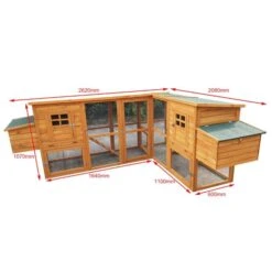 Liquidation - Poulailler Barbu Double Toit Shingle 6 à 10 Poules 9 Liquidation - Poulailler Barbu Double Toit Shingle 6 à 10 Poules -Poulailler Boutique poulailler bois barbu double dimensions