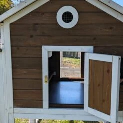 Poulailler Brahma Toit Shingle 6 à 8 Poules Bois FSC 31 Poulailler Brahma Toit Shingle 6 à 8 Poules Bois FSC -Poulailler Boutique poulailler brahma vue arri re focus d tail