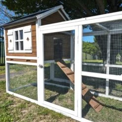 Poulailler Brahma Toit Shingle 6 à 8 Poules Bois FSC 22 Poulailler Brahma Toit Shingle 6 à 8 Poules Bois FSC -Poulailler Boutique poulailler brahma vue c t 2