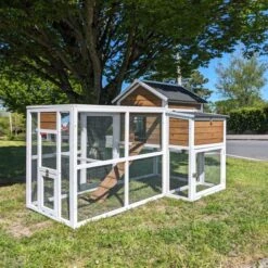 Poulailler Brahma Toit Shingle 6 à 8 Poules Bois FSC 20 Poulailler Brahma Toit Shingle 6 à 8 Poules Bois FSC -Poulailler Boutique poulailler brahma vue deuxi me c t