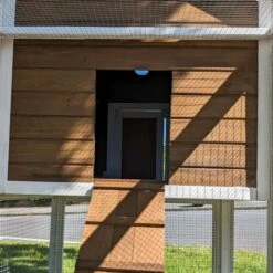 Poulailler Brahma Toit Shingle 6 à 8 Poules Bois FSC 35 Poulailler Brahma Toit Shingle 6 à 8 Poules Bois FSC -Poulailler Boutique poulailler brahma vue entr poulailler