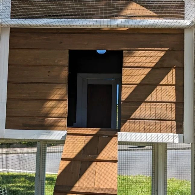 Poulailler Brahma Toit Shingle 6 à 8 Poules Bois FSC 19 Poulailler Brahma Toit Shingle 6 à 8 Poules Bois FSC – Image 17