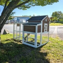 Poulailler Brahma Toit Shingle 6 à 8 Poules Bois FSC 26 Poulailler Brahma Toit Shingle 6 à 8 Poules Bois FSC -Poulailler Boutique poulailler brahma vue face arri re