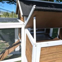 Poulailler Brahma Toit Shingle 6 à 8 Poules Bois FSC 30 Poulailler Brahma Toit Shingle 6 à 8 Poules Bois FSC -Poulailler Boutique poulailler brahma vue m canisme ouverture tiroir dejection