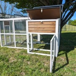 Poulailler Brahma Toit Shingle 6 à 8 Poules Bois FSC 25 Poulailler Brahma Toit Shingle 6 à 8 Poules Bois FSC -Poulailler Boutique poulailler brahma vue tout ouvert