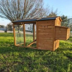 Poulailler Chabo Toit Shingle 2 à 4 Poules -Poulailler Boutique poulailler chabo vue c t