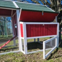 Poulailler Deluxe Rouge Toit Shingle Vert 10 à 12 Poules V3.0 -Poulailler Boutique poulailler deluxe rouge toit vert 12 poules vue enclos ouvert