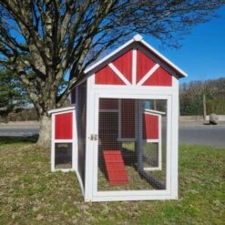 Poulailler Deluxe Rouge Toit Shingle Vert 10 à 12 Poules V3.0 -Poulailler Boutique poulailler deluxe rouge toit vert 12 poules vue face ferme