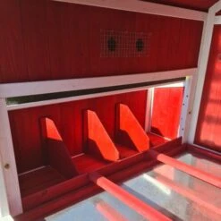 Poulailler Deluxe Rouge Toit Shingle Vert 10 à 12 Poules V3.0 -Poulailler Boutique poulailler deluxe rouge toit vert 12 poules vue interieure perchoirs pondoirs