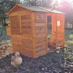 Poulailler Gaulois II Toit Shingle 6 à 10 Poules -Poulailler Boutique poulailler gaulois ii 4 a 6 poules avec poules arriere