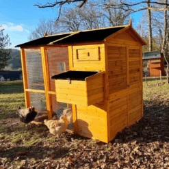 Poulailler Gaulois II Toit Shingle 6 à 10 Poules -Poulailler Boutique poulailler gaulois ii toit shingle 4 8 poules arri re