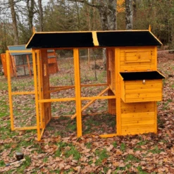 Poulailler Gaulois II Toit Shingle 6 à 10 Poules -Poulailler Boutique poulailler gaulois ii toit shingle 4 8 poules vue c t 2