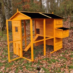 Poulailler Gaulois II Toit Shingle 6 à 10 Poules -Poulailler Boutique poulailler gaulois ii toit shingle 4 8 poules vue face