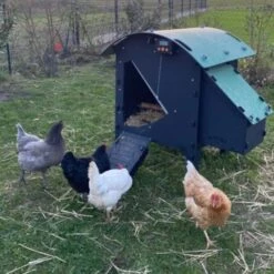 Poulailler Nestera Sur Pieds Taille S Plastique Recyclé 3 à 5 Poules Avec Portier Automatique Autonome Zen Farm -Poulailler Boutique poulailler nestera small avec portier automatique