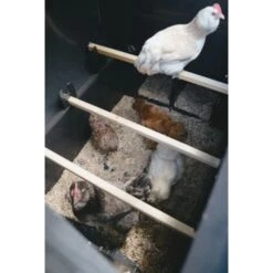 Poulailler Nestera Sur Roues Le Wagon Plastique Recyclé 8 à 15 Poules -Poulailler Boutique poulailler plastique le wagon 8 poules nestera vue interieur