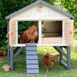 Poulailler Made In Jura Plastique 4 à 5 Poules - Smoby -Poulailler Boutique poulailler plastique mij smoby face poules