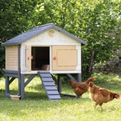Poulailler Made In Jura Plastique 4 à 5 Poules - Smoby -Poulailler Boutique poulailler plastique mij smoby face poules installe
