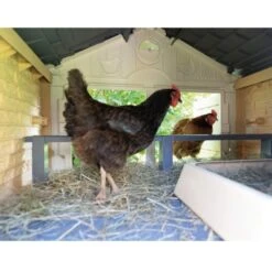 Poulailler Made In Jura Plastique 4 à 5 Poules - Smoby -Poulailler Boutique poulailler plastique mij smoby interieur