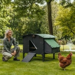 Poulailler Nestera Sur Pieds Taille L Plastique Recyclé 8 à 15 Poules -Poulailler Boutique poulailler plastique recycle nestera l avec portier automatique