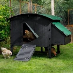 Poulailler Nestera Sur Pieds Taille L Plastique Recyclé 8 à 15 Poules -Poulailler Boutique poulailler plastique recycle nestera l avec poules
