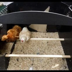 Poulailler Nestera Sur Pieds Taille L Plastique Recyclé 8 à 15 Poules -Poulailler Boutique poulailler plastique recycle nestera l interieur