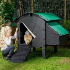 Poulailler Nestera Sur Pieds Taille M Plastique Recyclé 5 à 9 Poules -Poulailler Boutique poulailler plastique recycle nestera m suggestion utilisation