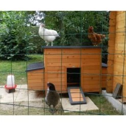 Poulailler Sussex XL Toit Shingle Noir Ouvrant 6 à 10 Poules Bois FSC -Poulailler Boutique poulailler sussex xl deux pondoirs vue avant
