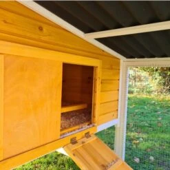 Poulailler Toit Renforcé M Toit Plastique 6 à 8 Poules -Poulailler Boutique poulailler toit renforce 6 a 8 poules entree partie nuit