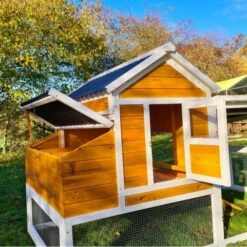 Poulailler Toit Renforcé M Toit Plastique 6 à 8 Poules -Poulailler Boutique poulailler toit renforce 6 a 8 poules vue trappe pondoir