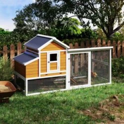 Poulailler Toit Renforcé M Toit Plastique 6 à 8 Poules -Poulailler Boutique poulailler toit renforce m 6a8 poules installe cote 1