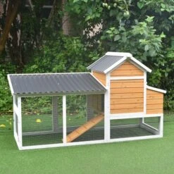 Poulailler Toit Renforcé S Toit Plastique 4 à 6 Poules -Poulailler Boutique poulailler toit renforce s 4 a 6 poules arriere