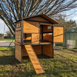 Poulailler Vorwerk Toit Shingle 10 à 12 Poules -Poulailler Boutique poulailler vorwerck tout ouverty