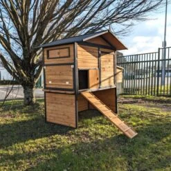 Poulailler Vorwerk Toit Shingle 10 à 12 Poules -Poulailler Boutique poulailler vorwerck vue c t