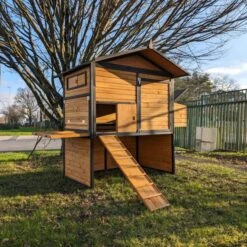 Poulailler Vorwerk Toit Shingle 10 à 12 Poules -Poulailler Boutique poulailler vorwerck vue tout ouvert