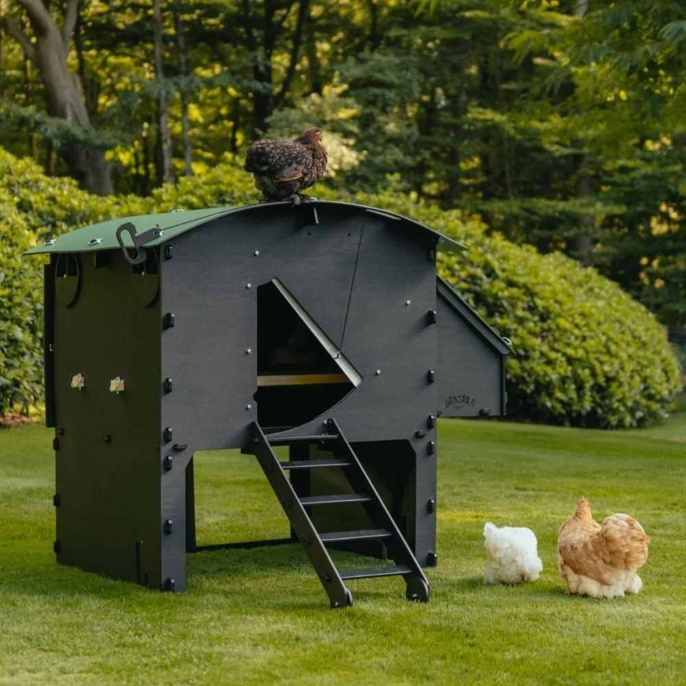 Poulailler Boutique -Poulailler Boutique poulaillers sureleve l